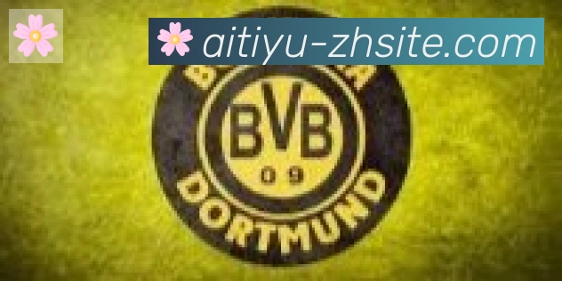 爱体育合作伙伴